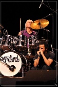 6315 Yardbirds 06-10-2010 (Medium)